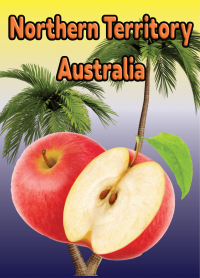 Air Freshener Fruits Apple
