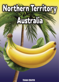Air Freshener Fruits Banana