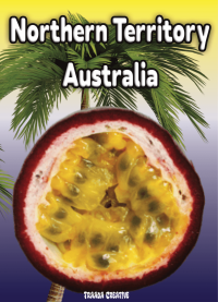 Air Freshener Fruits Passionfruit