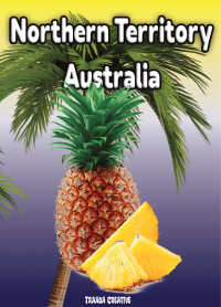 Air Freshener Fruits Pineapple