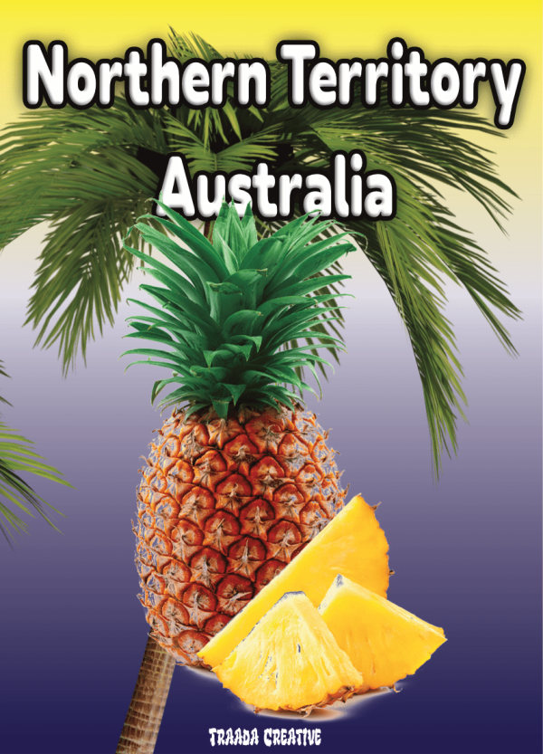 Air Freshener Fruits Pineapple