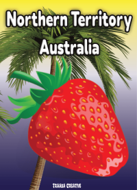 Air Freshener Fruits Strawberry