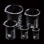 Borosilicate Glass Measuring Cups (set of 5)