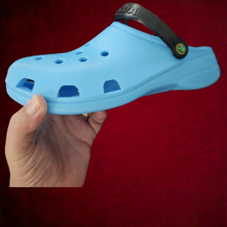 3D Printed Shoes