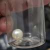 Bottle with flip top and glass paint agitator ball