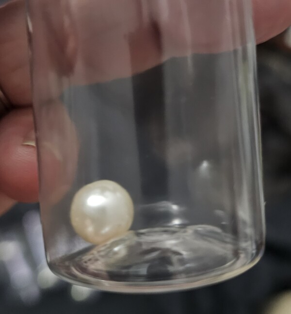 Bottle with flip top and glass paint agitator ball